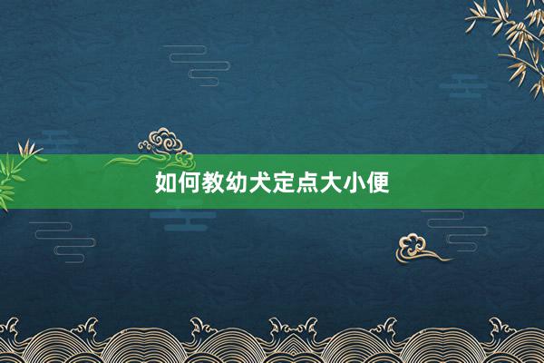 如何教幼犬定点大小便