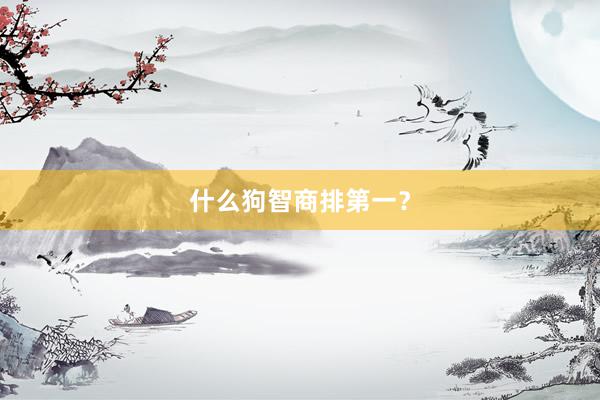 什么狗智商排第一？