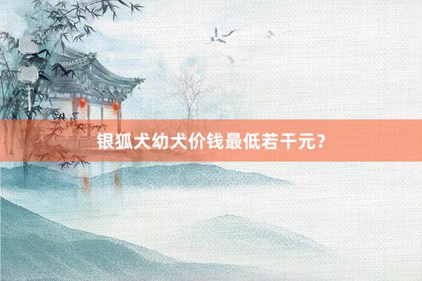 银狐犬幼犬价钱最低若干元？